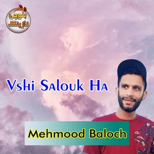 Salouki Mashup
