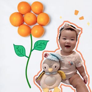 小元宝(女声版)