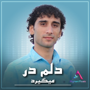 Rafiq Gar Biwafa Bashad Gomsh ko