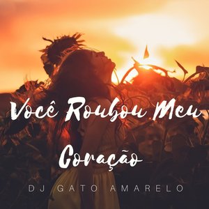 Você Roubou Meu Coração