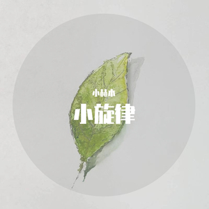 小旋律（瑕疵版）