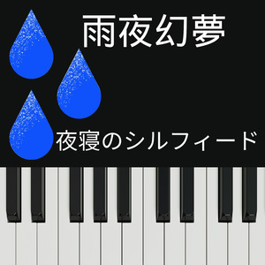 雨夜幻夢 夜寝のシルフィード