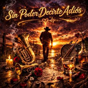 Sin poder decirte adios