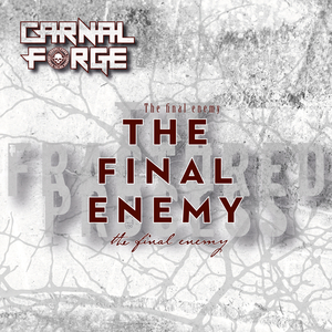 The Final Enemy