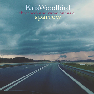 Crashed and Came out as a Sparrow