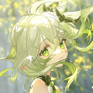 樱花树下的约定（纳西妲）