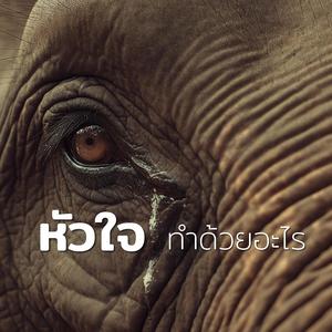 หัวใจทำด้วยอะไร