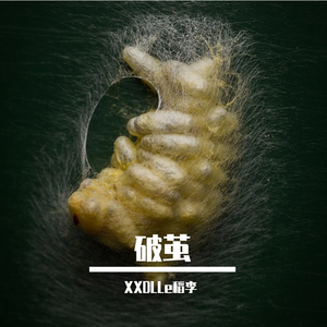 Alive（Prod by ANGER BEATZ）