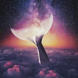 鲸（sea of whales）