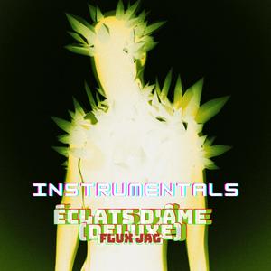 Krillin's Revenge (Instrumental)