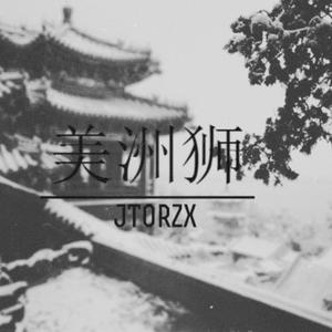 美 洲 狮