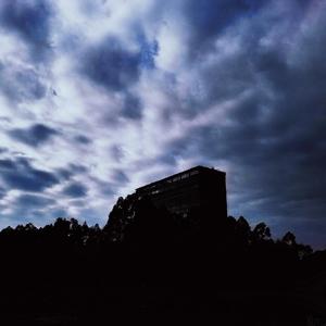 山楂树の恋_小鱼