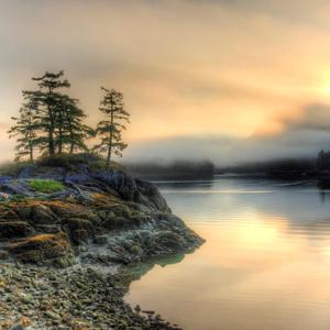 What the wind thinks