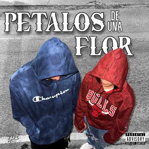 Pétalos De Una Flor