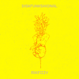 Diskfunkshinal
