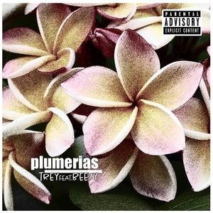 Plumerias