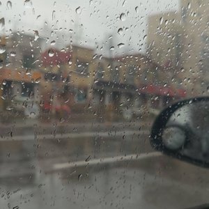 天气预报 没说今天会想你