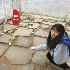 万事尽可期待 (DJ版)