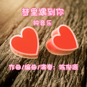 梦里遇到你 纯音乐