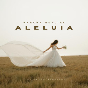 Marcha Nupcial / Aleluia (Violino Instrumental)
