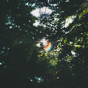 玫瑰（翻自 亚森）