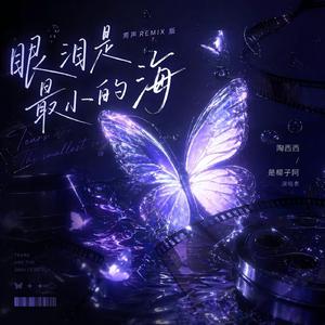 眼泪是最小的海（男声remix版）