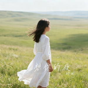 想你的夜