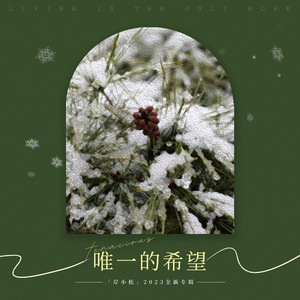 春风沉醉的晚上