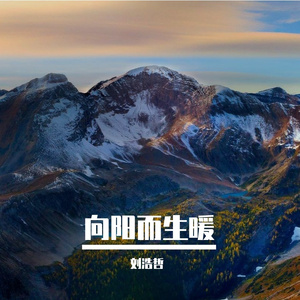 向阳的奔跑