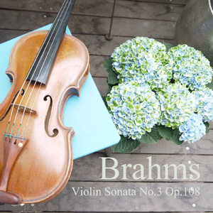 Violin Sonata No.3 - 3st mv.