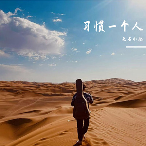 习惯一个人 伴奏