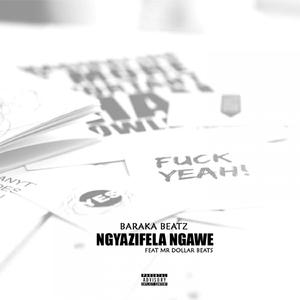 Ngyazifela Ngawe (feat. Mr Dollar Beats)