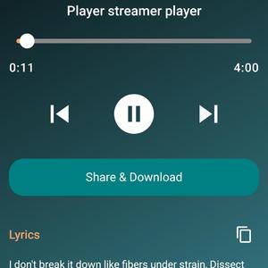 Player streamer player