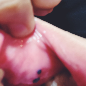 ハロウィンに行きたいんだ