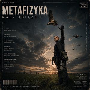 Metafizyka