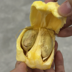 深夜蓝牙没信号