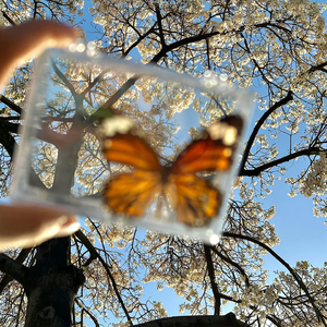 Anzap (你的挑衅我的兴奋剂).wav