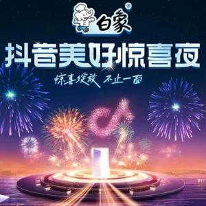 樱花树下的约定 (Live)