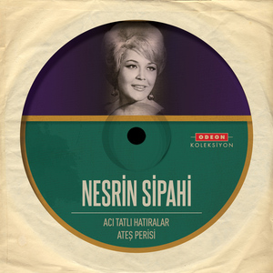 Acı Tatlı Hatıralar