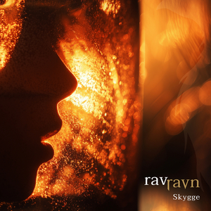 Skygge (Speilskår Version)