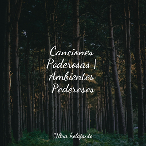 Reinando En Concentración
