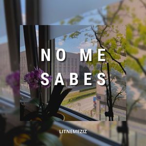 No Me Sabes
