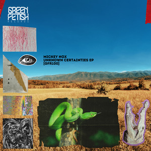 Learn It Orgasm (Original Mix)