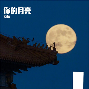 你的月亮