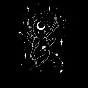 Dark Interlude
