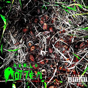 Forty Six Forty Seven