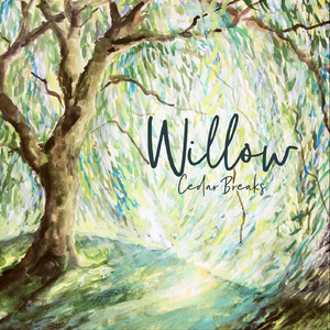 Willow