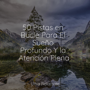 Tiempo De Deslizamiento