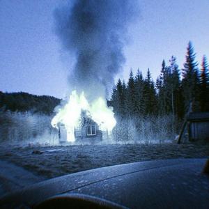 what are you stupid ?