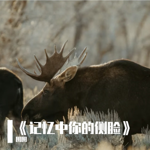 《记忆中你的侧脸》